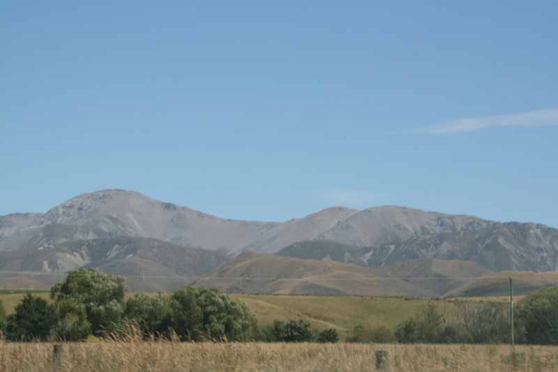 Nieuw-Zeeland 2011 - 1262